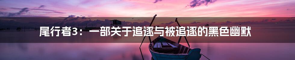 尾行者3：一部关于追逐与被追逐的黑色幽默