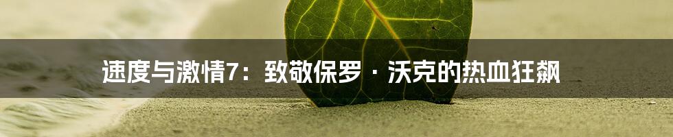 速度与激情7：致敬保罗·沃克的热血狂飙