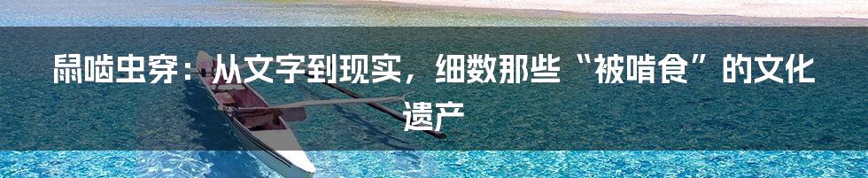 鼠啮虫穿:从文字到现实,细数那些“被啃食”的文化遗产