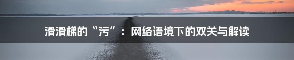 滑滑梯的“污”：网络语境下的双关与解读