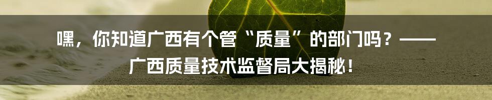 嘿，你知道广西有个管“质量”的部门吗？—— 广西质量技术监督局大揭秘！