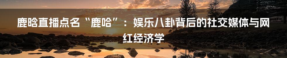 鹿晗直播点名“鹿哈”：娱乐八卦背后的社交媒体与网红经济学