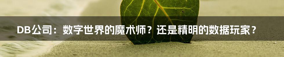 DB公司:数字世界的魔术师?还是精明的数据玩家?