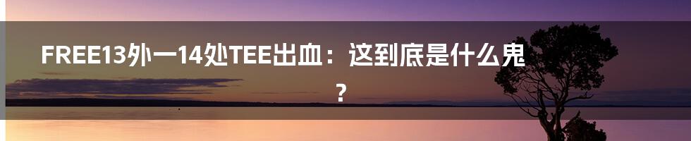 FREE13外一14处TEE出血：这到底是什么鬼？