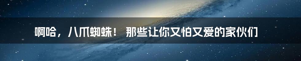 啊哈，八爪蜘蛛！ 那些让你又怕又爱的家伙们