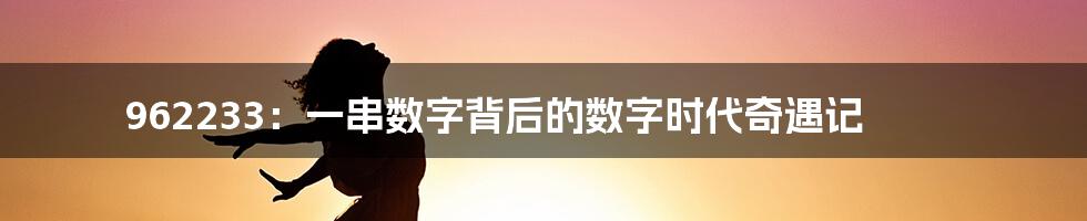 962233:一串数字背后的数字时代奇遇记