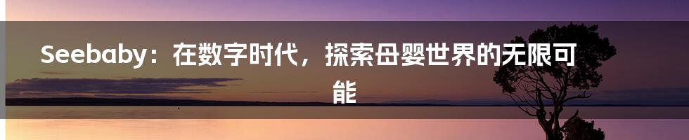 Seebaby：在数字时代，探索母婴世界的无限可能