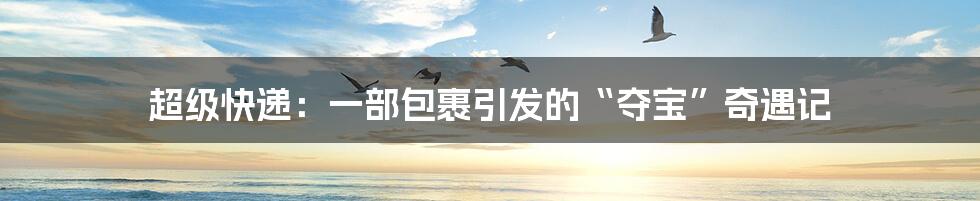 超级快递：一部包裹引发的“夺宝”奇遇记
