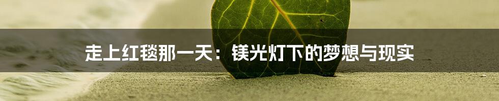 走上红毯那一天：镁光灯下的梦想与现实