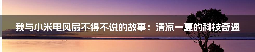 我与小米电风扇不得不说的故事：清凉一夏的科技奇遇