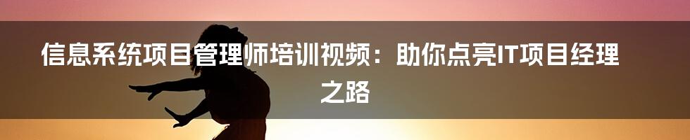 信息系统项目管理师培训视频：助你点亮IT项目经理之路