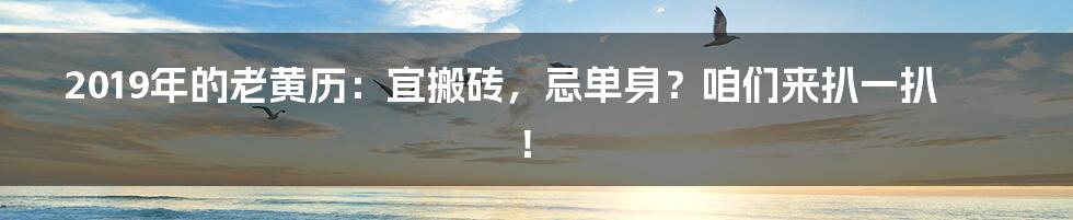 2019年的老黄历：宜搬砖，忌单身？咱们来扒一扒！