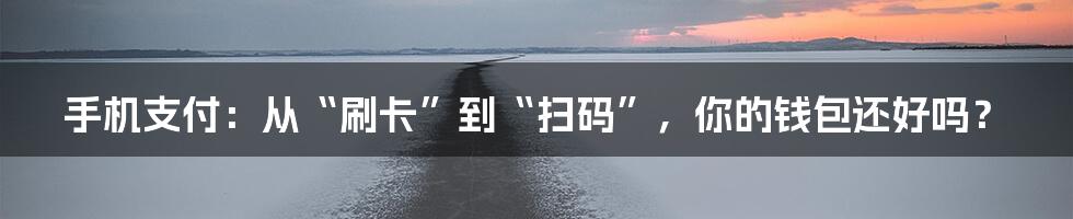 手机支付:从“刷卡”到“扫码”,你的钱包还好吗?