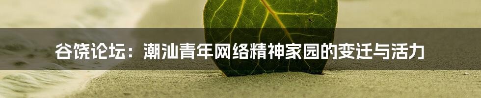 谷饶论坛：潮汕青年网络精神家园的变迁与活力
