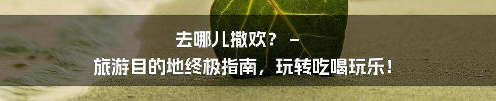 去哪儿撒欢？ – 旅游目的地终极指南，玩转吃喝玩乐！
