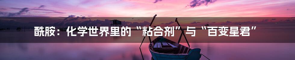 酰胺:化学世界里的“粘合剂”与“百变星君”
