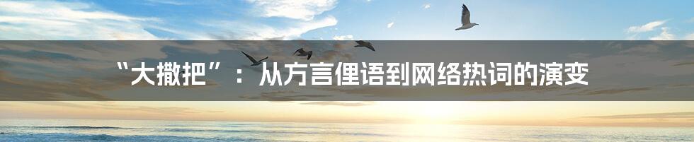 “大撒把”：从方言俚语到网络热词的演变