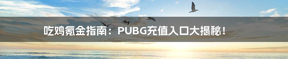 吃鸡氪金指南：PUBG充值入口大揭秘！