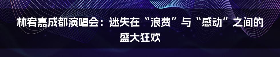 林宥嘉成都演唱会:迷失在“浪费”与“感动”之间的盛大狂欢