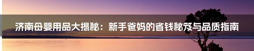 济南母婴用品大揭秘：新手爸妈的省钱秘笈与品质指南