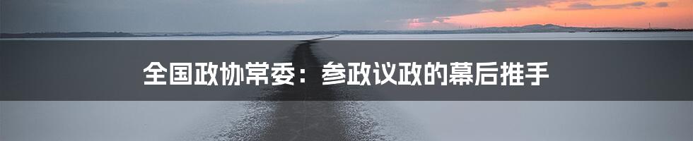 全国政协常委:参政议政的幕后推手