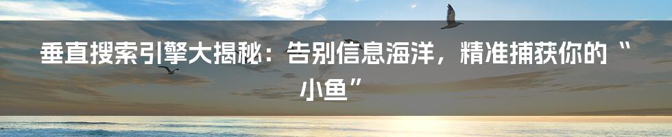 垂直搜索引擎大揭秘:告别信息海洋,精准捕获你的“小鱼”