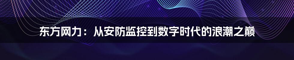 东方网力：从安防监控到数字时代的浪潮之巅