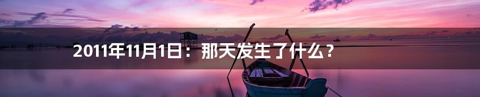 2011年11月1日：那天发生了什么？