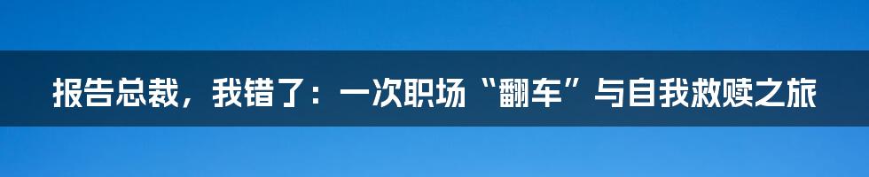 报告总裁,我错了:一次职场“翻车”与自我救赎之旅