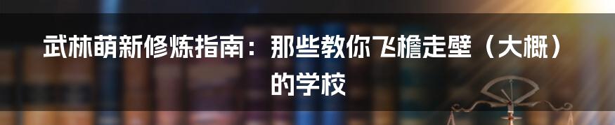 武林萌新修炼指南：那些教你飞檐走壁（大概）的学校