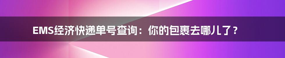 EMS经济快递单号查询:你的包裹去哪儿了?