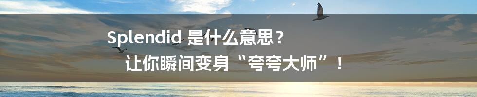 Splendid 是什么意思？ 让你瞬间变身“夸夸大师”！