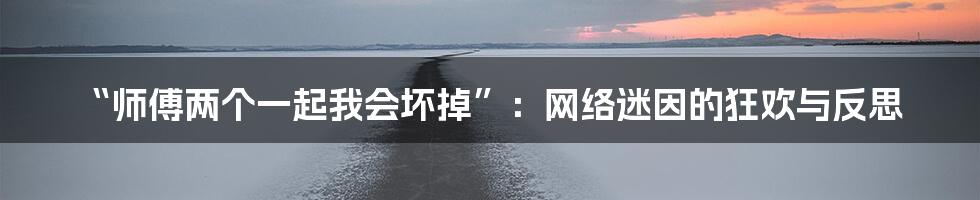 “师傅两个一起我会坏掉”:网络迷因的狂欢与反思