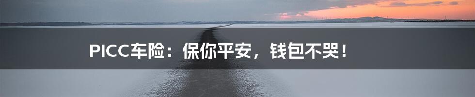 PICC车险:保你平安,钱包不哭!