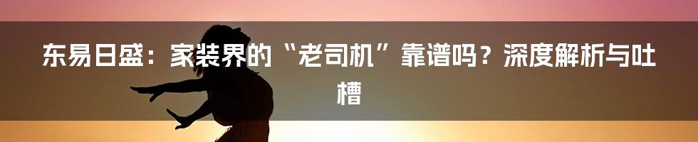 东易日盛:家装界的“老司机”靠谱吗?深度解析与吐槽
