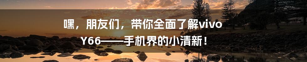嘿,朋友们,带你全面了解vivo Y66——手机界的小清新!