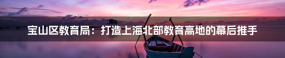 宝山区教育局:打造上海北部教育高地的幕后推手