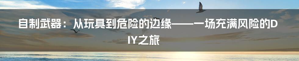 自制武器：从玩具到危险的边缘——一场充满风险的DIY之旅
