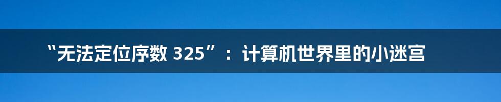 “无法定位序数 325”：计算机世界里的小迷宫