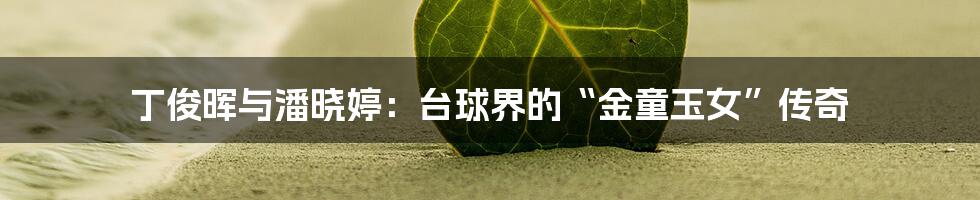 丁俊晖与潘晓婷：台球界的“金童玉女”传奇