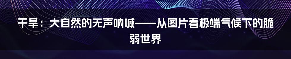 干旱：大自然的无声呐喊——从图片看极端气候下的脆弱世界