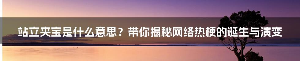 站立夹宝是什么意思?带你揭秘网络热梗的诞生与演变