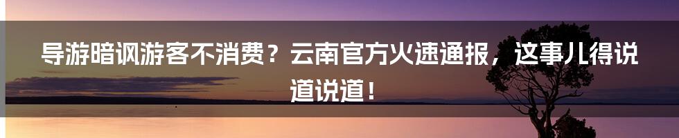 导游暗讽游客不消费？云南官方火速通报，这事儿得说道说道！