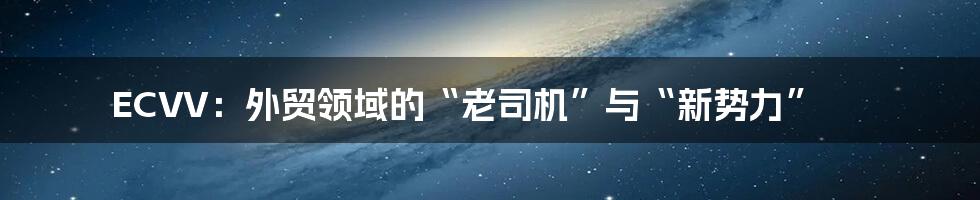 ECVV:外贸领域的“老司机”与“新势力”