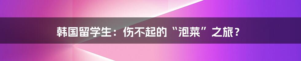 韩国留学生:伤不起的“泡菜”之旅?