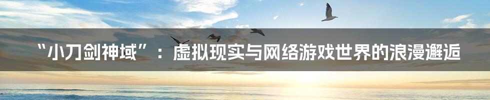 “小刀剑神域”:虚拟现实与网络游戏世界的浪漫邂逅