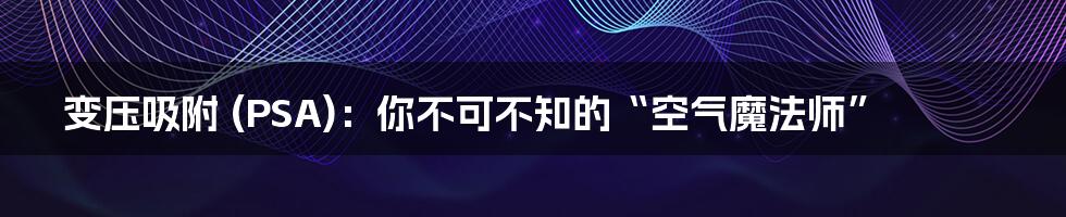 变压吸附 (PSA)：你不可不知的“空气魔法师”