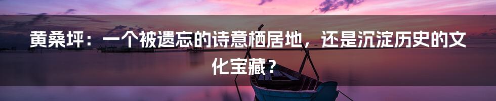 黄桑坪：一个被遗忘的诗意栖居地，还是沉淀历史的文化宝藏？