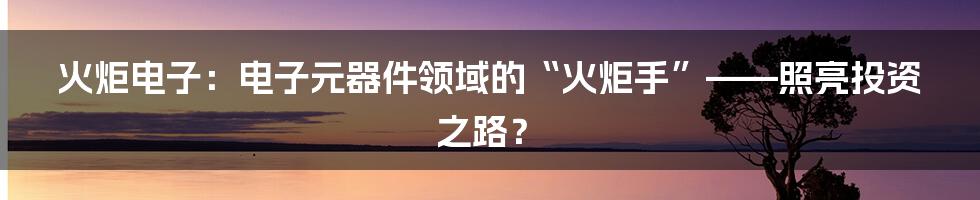 火炬电子:电子元器件领域的“火炬手”——照亮投资之路?