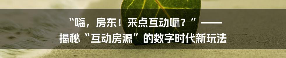 “嗨，房东！来点互动嘛？”—— 揭秘“互动房源”的数字时代新玩法